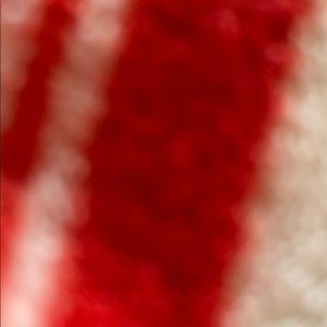 Meet your Posher, Jessie